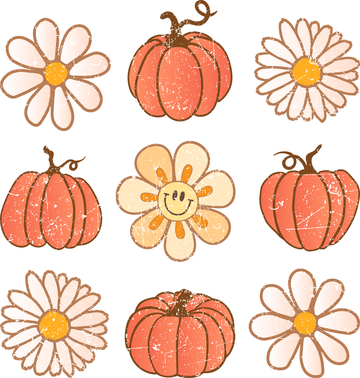 Pumpkins & Daisies