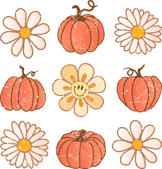 Pumpkins & Daisies