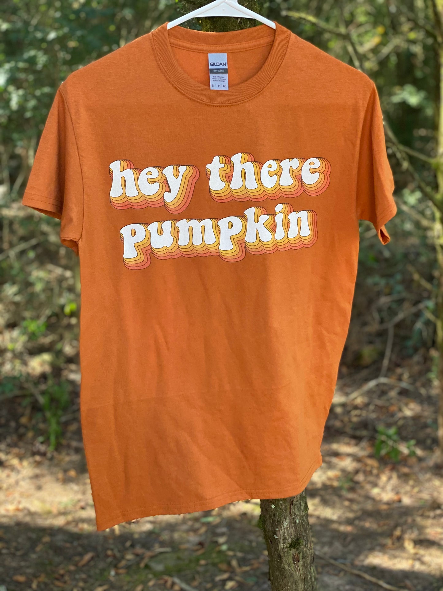 Hey There Pumpkin