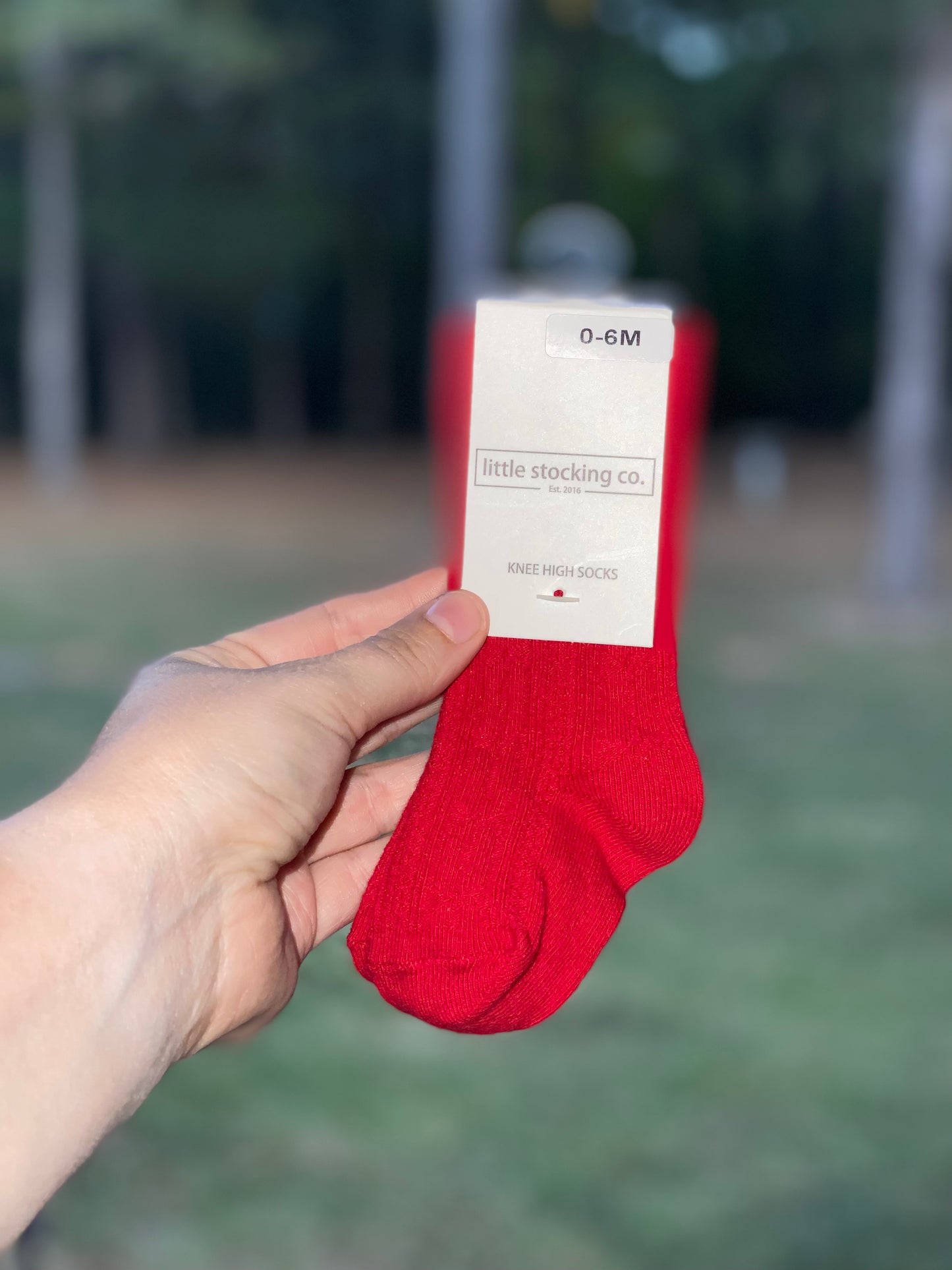 Knee High Socks